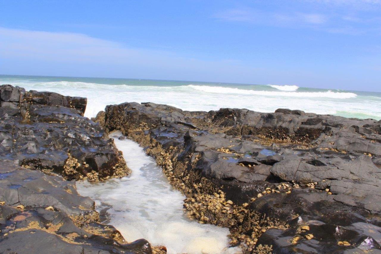 Silver Dolphin Holidays Apartman Amanzimtoti Kültér fotó