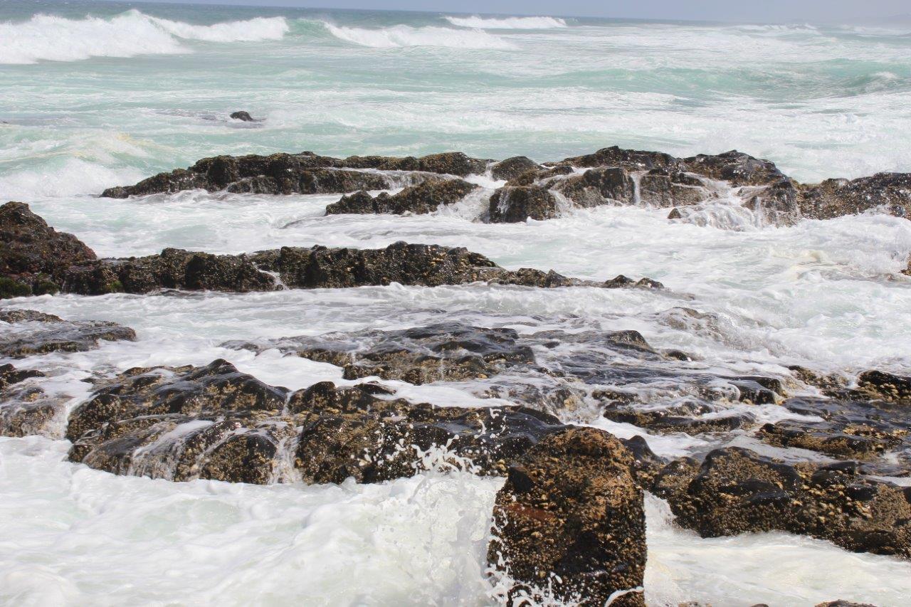 Silver Dolphin Holidays Apartman Amanzimtoti Szoba fotó
